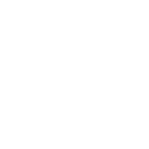 Se Habla Español link